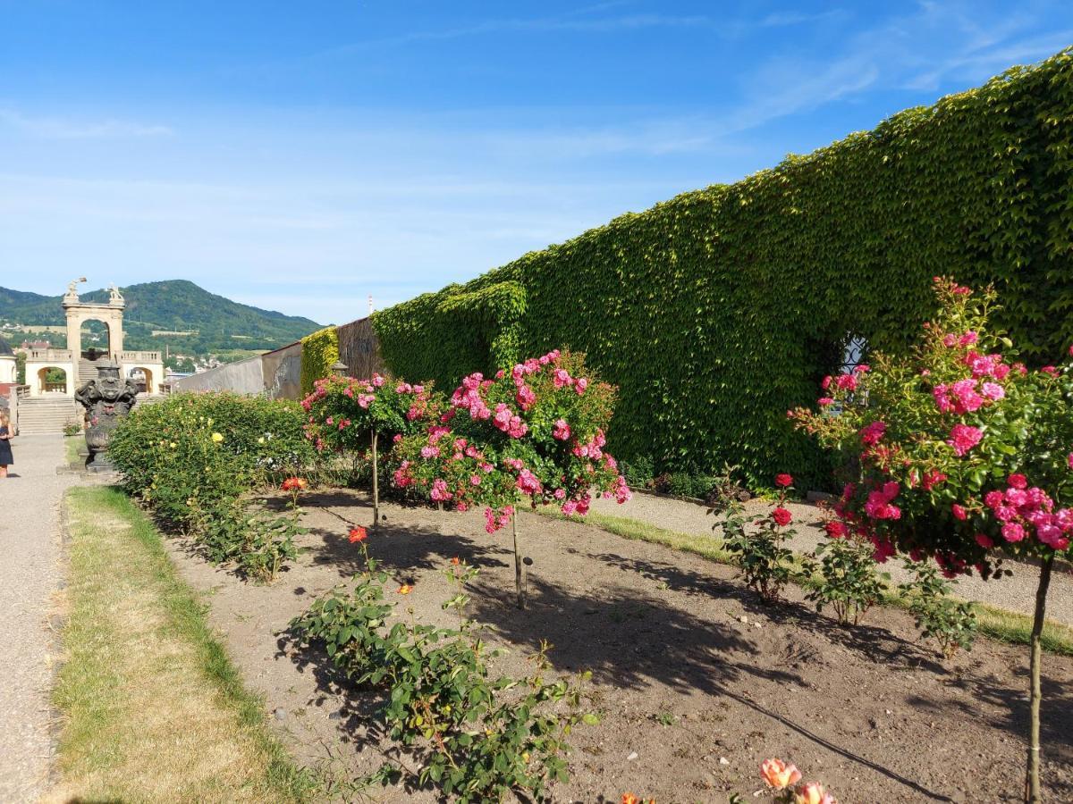 Apartments Rose Garden Decin Buitenkant foto